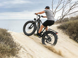 Thunder Pro Fat Tire Electric Bike | WOW Electric Rides Calgary