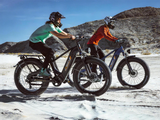 Thunder Pro Fat Tire Electric Bike | WOW Electric Rides Calgary