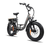 Senada OSPREY Cargo Electric Bike