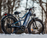 Freesky Swift Horse Ultra X-6E Electric Mountain Bike – 3500W Motor, 61 KM/H, 225 KM Range