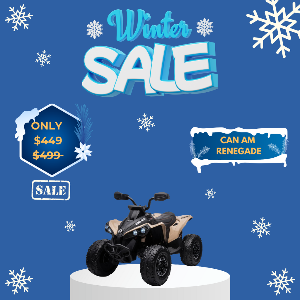 WOW Electric Rides / WOW Technologies 