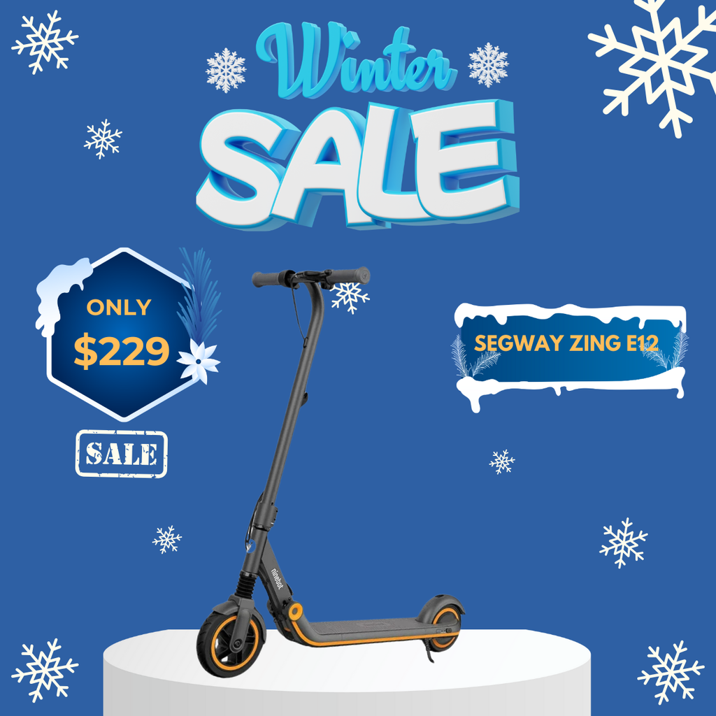 WOW Electric Rides / WOW Technologies 
