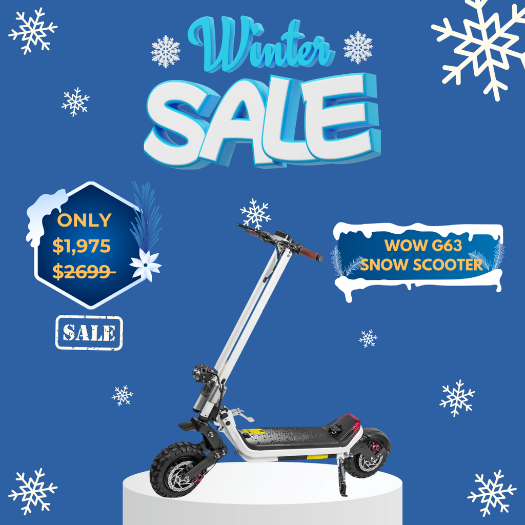 WOW Electric Rides / WOW Technologies 
