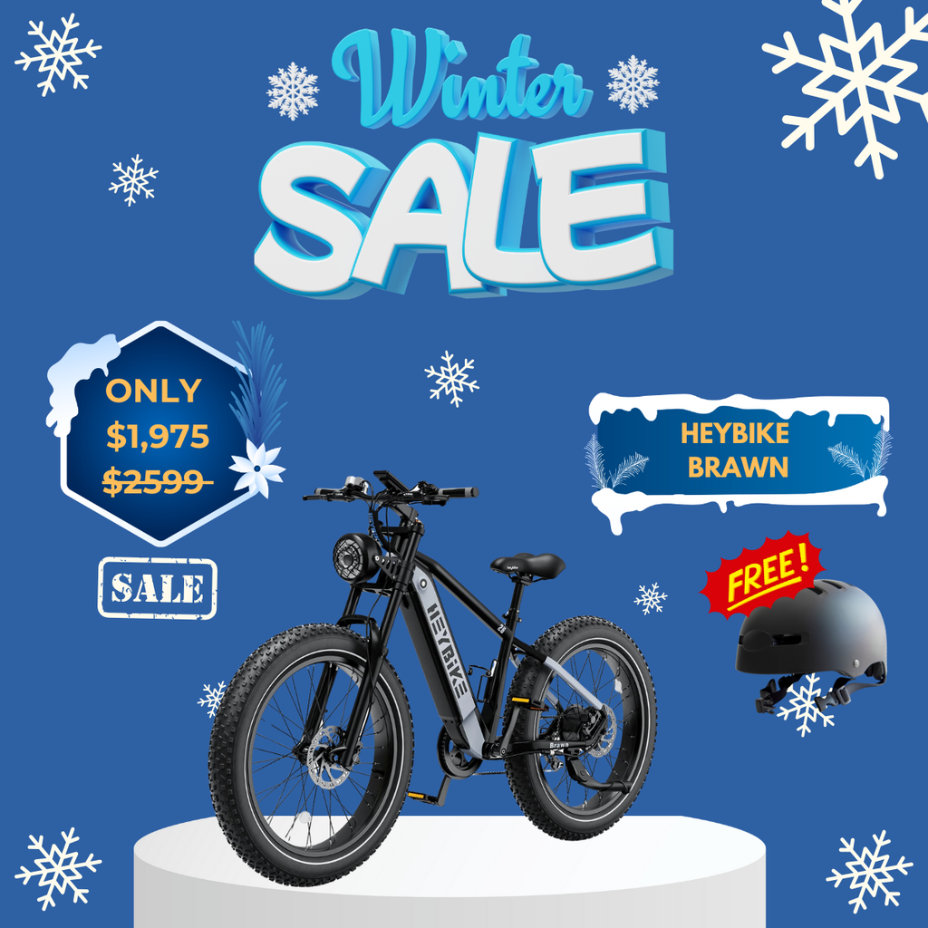 WOW Electric Rides / WOW Technologies 