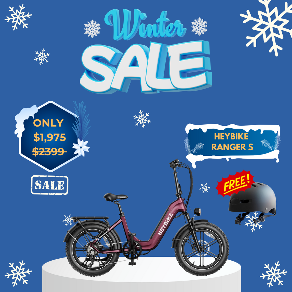 WOW Electric Rides / WOW Technologies 