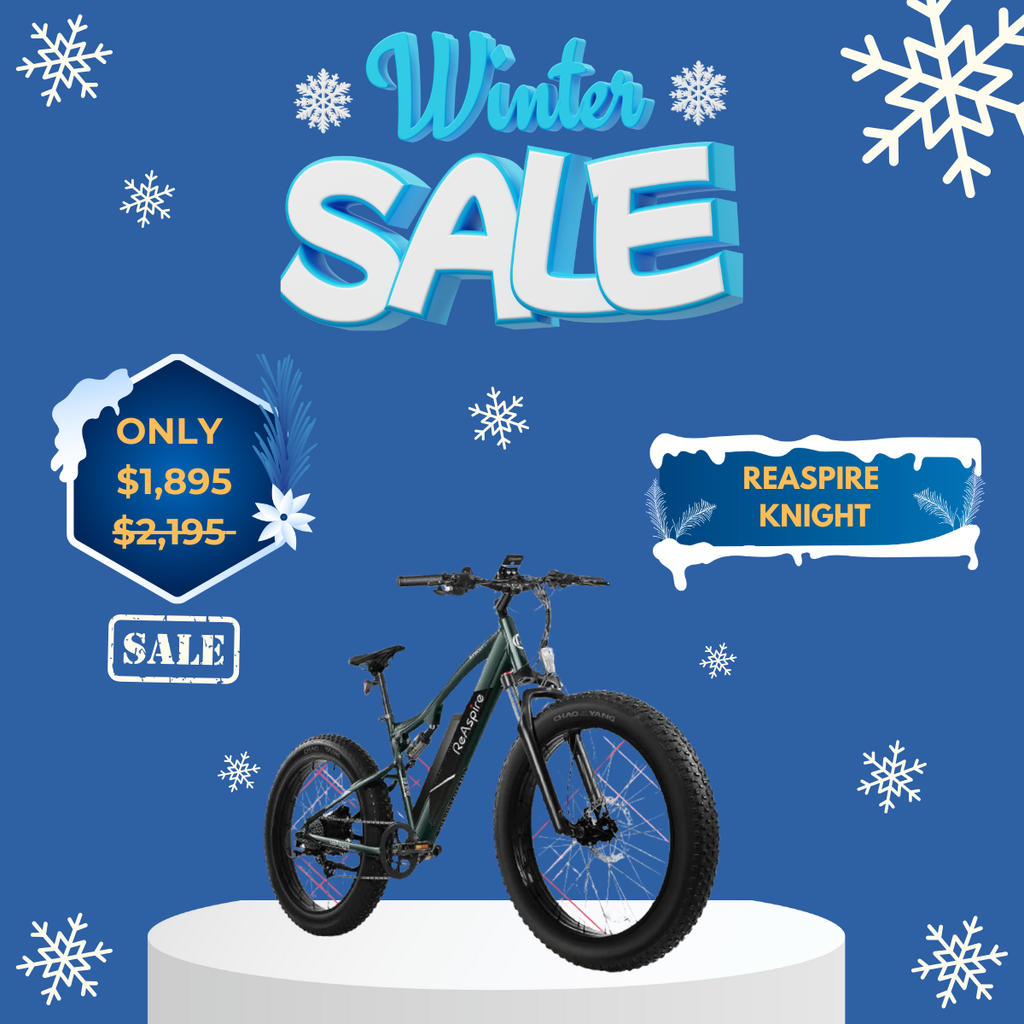 WOW Electric Rides / WOW Technologies 