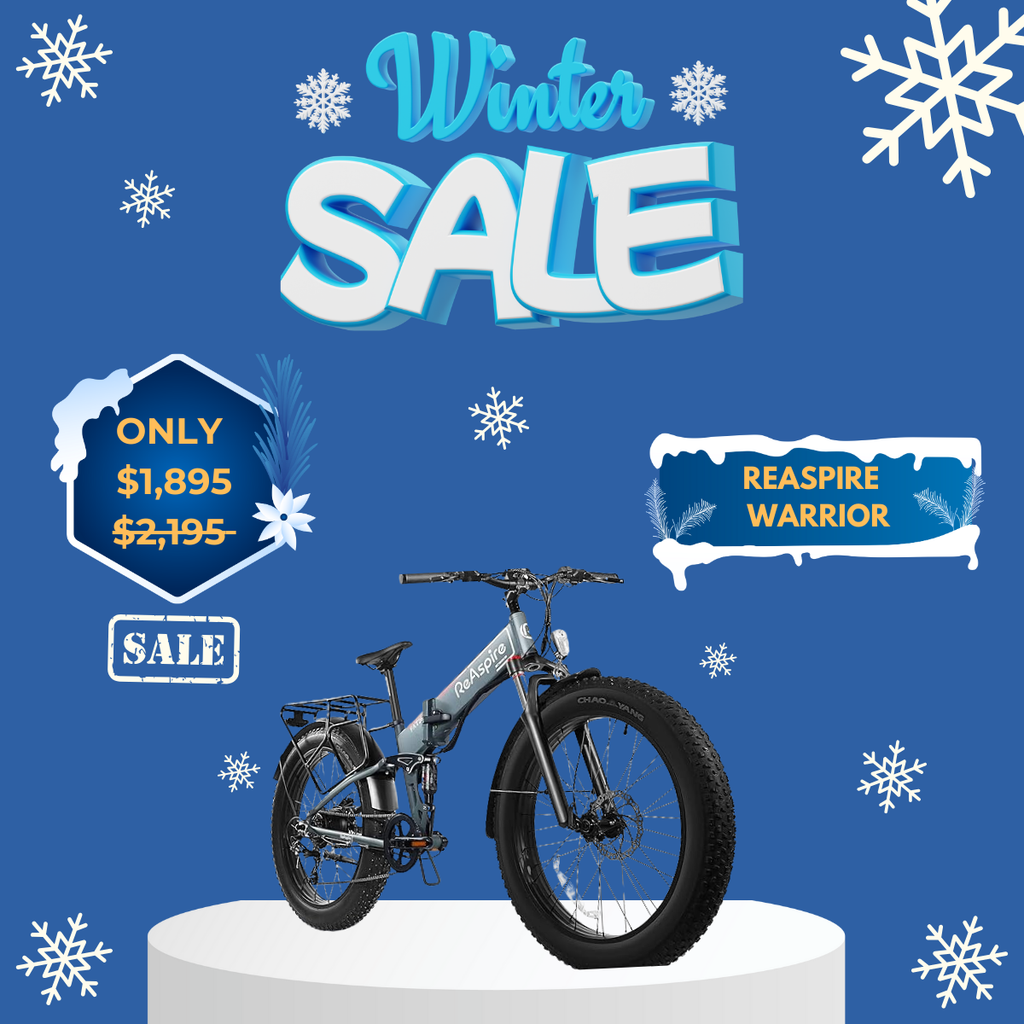 WOW Electric Rides / WOW Technologies 